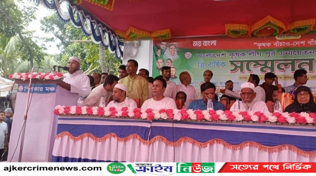 কালকিনির আলীপুরে কৃষকলীগের ত্রি-বার্ষিক সম্মেলন অনুষ্ঠিত